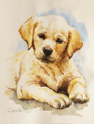 Labrador puppy (Puppy In Watercolor). Simonova Olga