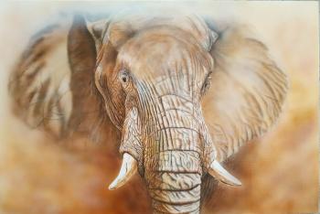 Elephant (). Litvinov Andrew