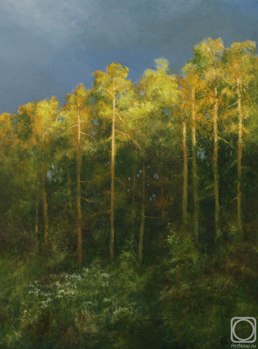 Dorofeev Sergey. Night in the woods before the storm