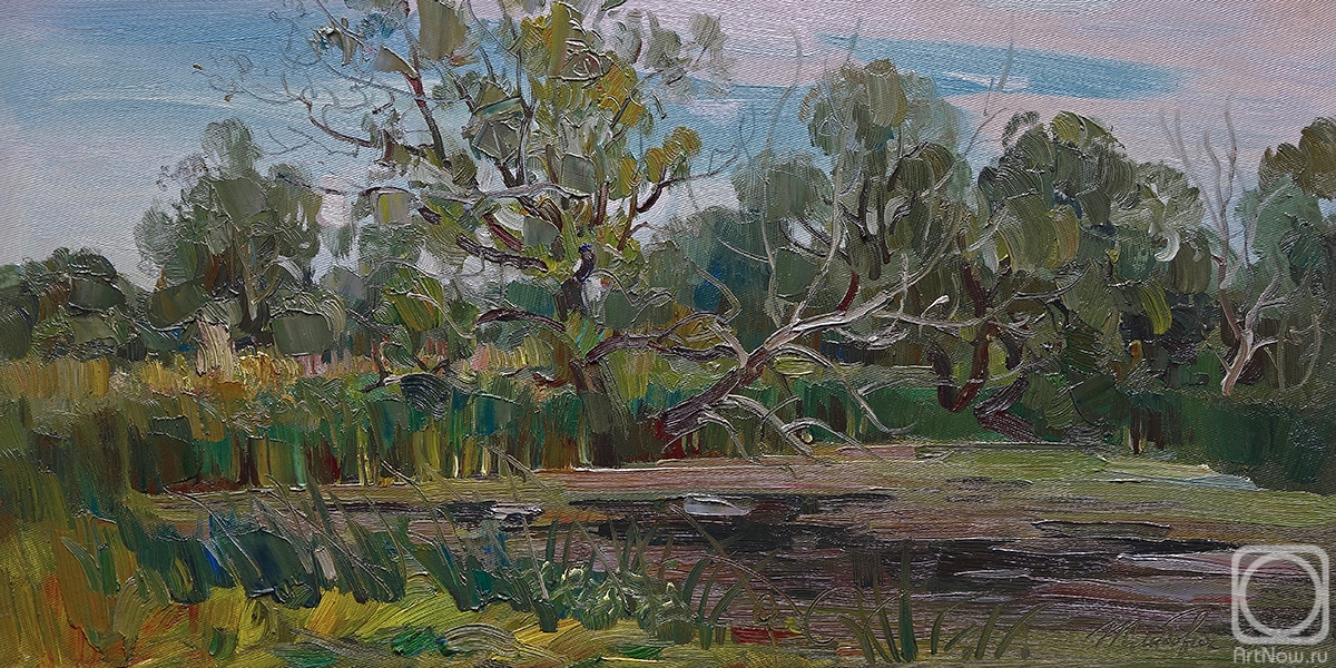 Zhlabovich Anatoly. Overgrown pond