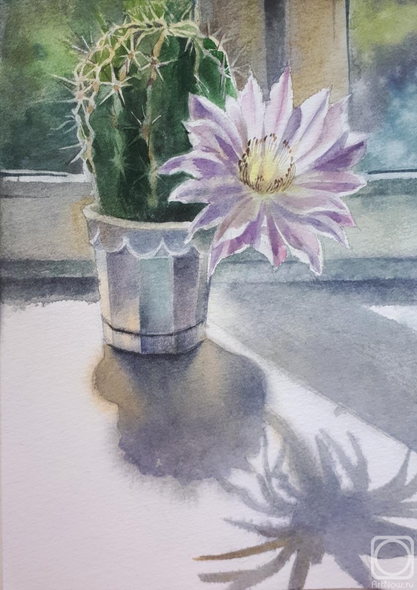 �������. ��������� �������. ������ ������