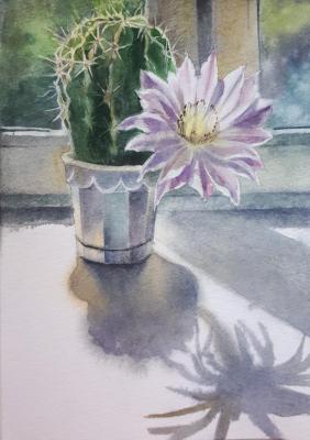 ������� ������� ������