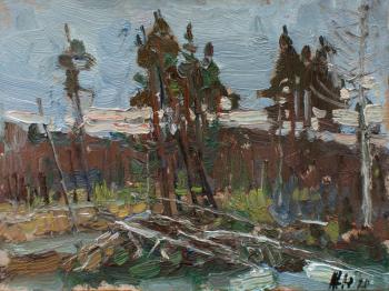 Evening. Pine trees. Zhukova Juliya