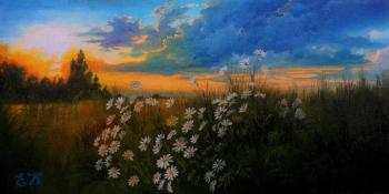 Daisies evening (Summer Landscape Pain). Korableva Elena