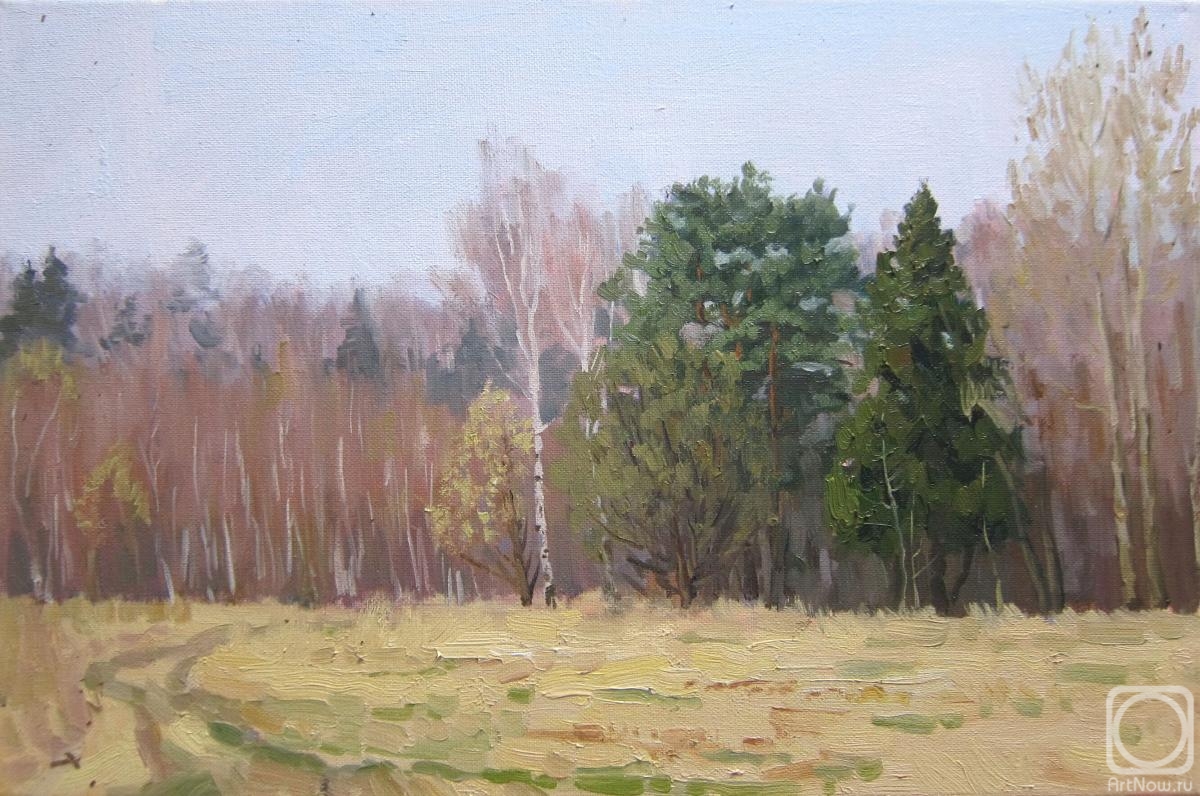 Chertov Sergey. In the spring the forest (etude)