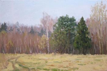In the spring the forest (etude). Chertov Sergey