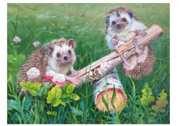 Hedgehogs. Chuprina Irina