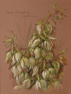 Simonova Olga Georgievna. Blooming Yucca