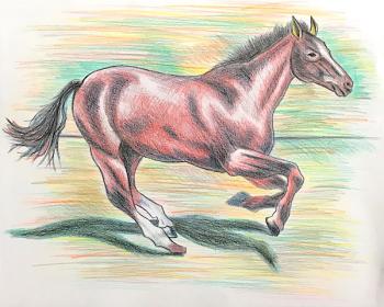 Copy 306. Horse in motion. Lukaneva Larissa