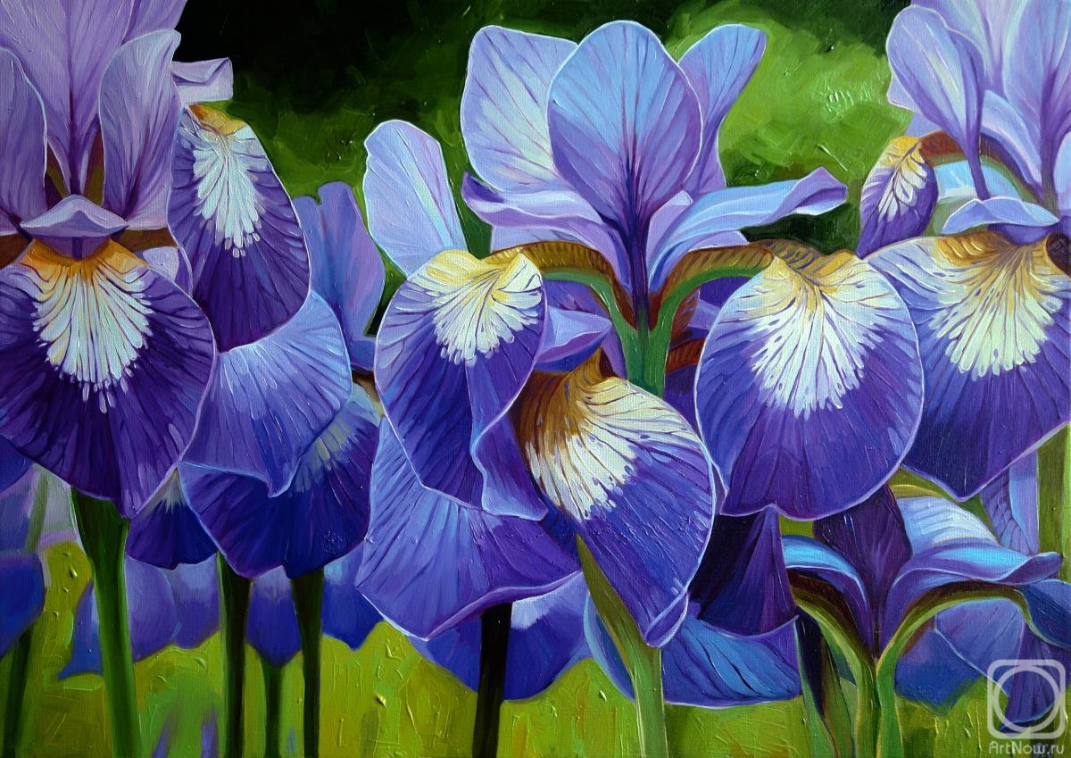 Vestnikova Ekaterina. Summer Irises