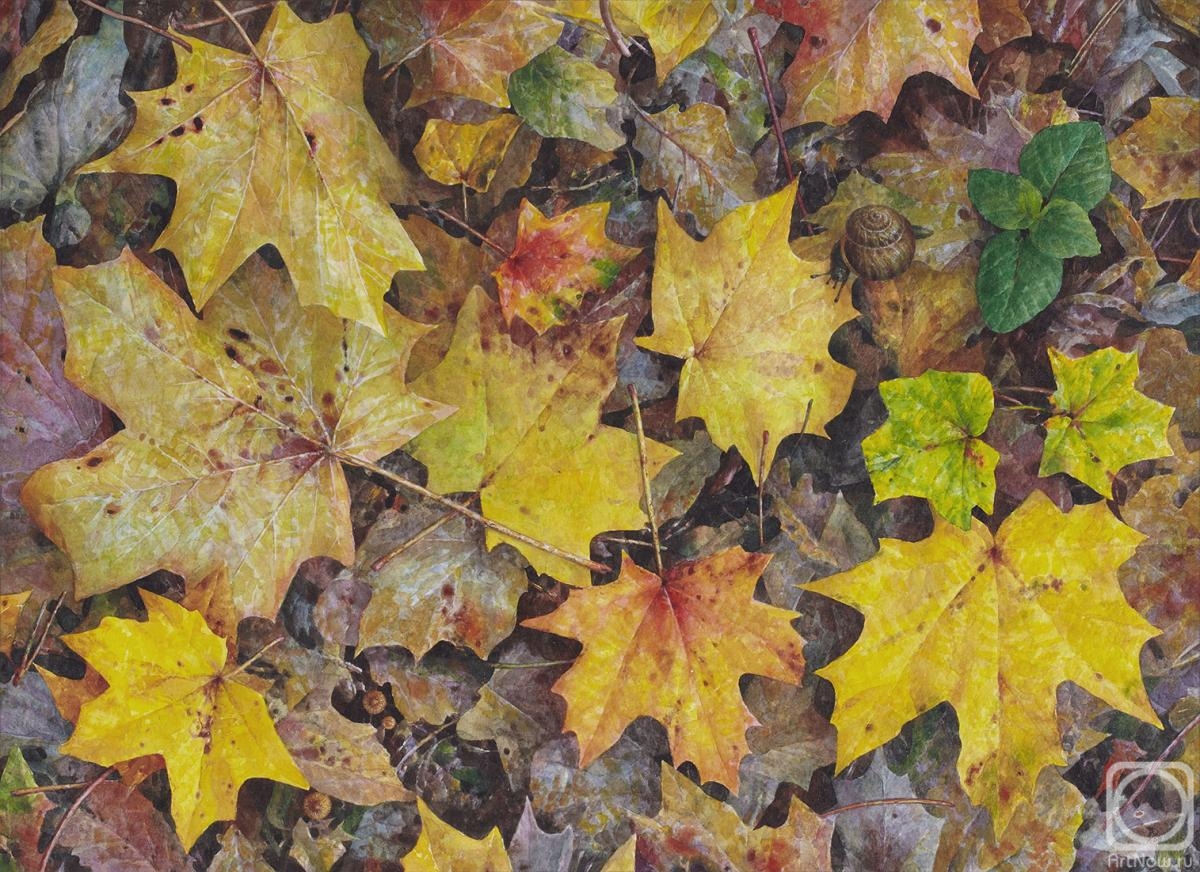 �������. ������ �������. ������