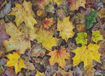 ������� ��������