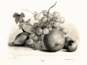 Figs, grapes and orange. Kolotikhin Mikhail
