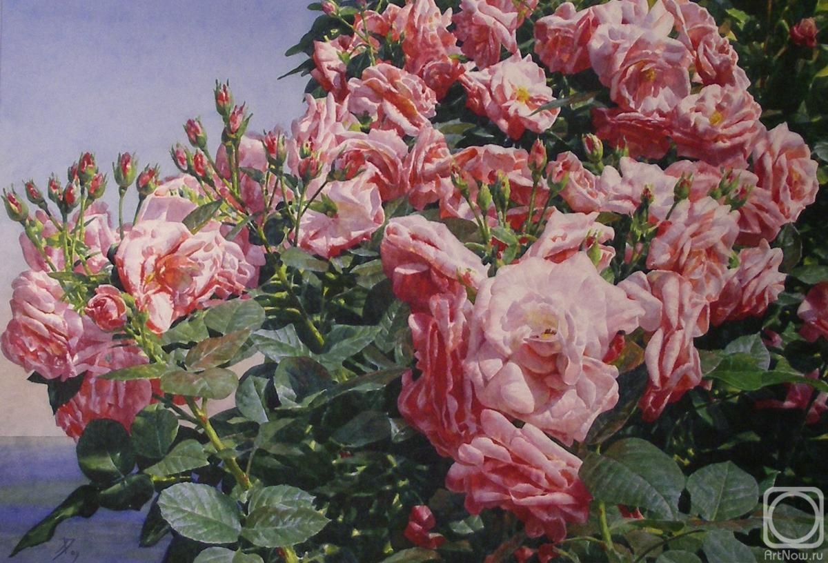 �������. ������ �������. �������. ����