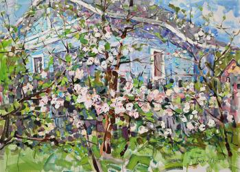 Apple trees in bloom. Tyutrin Peter