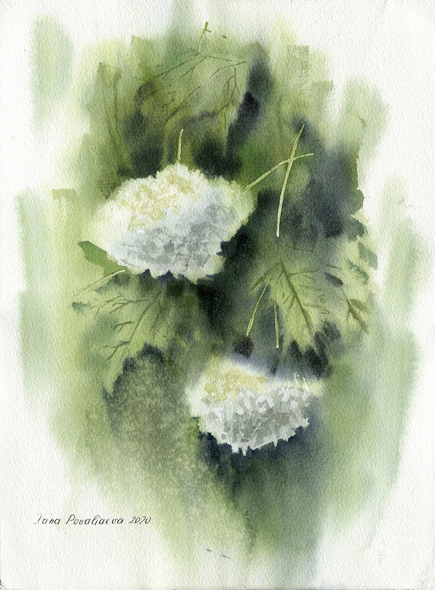 �������. ��������� �����. ����� ������