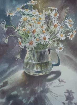 Chamomile (Painting Watercolors). Kuropteva Evgenia