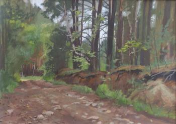 Road in the forest. Telyatnikov Arseniy