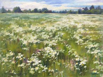 Fresh meadow. Telyatnikov Arseniy