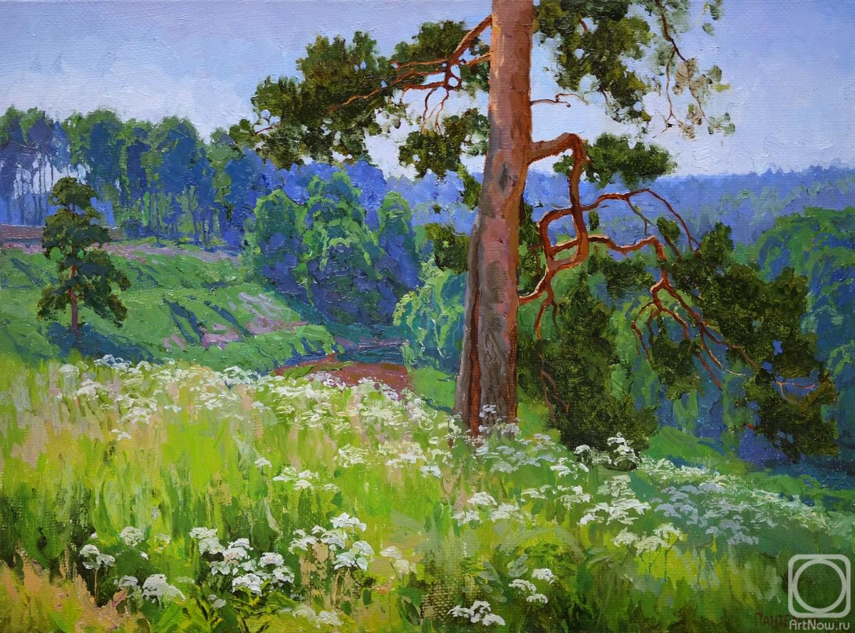 Panteleev Sergey. Dream grass