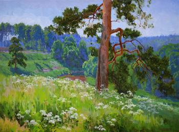Dream grass. Panteleev Sergey