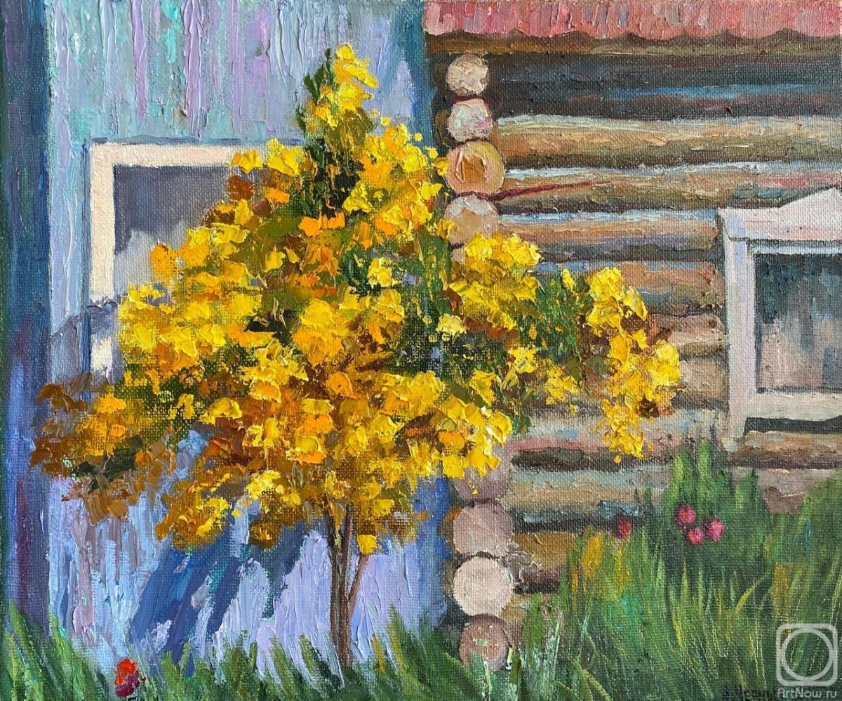 Chernyy Alexandr. Blooming yellow Bush