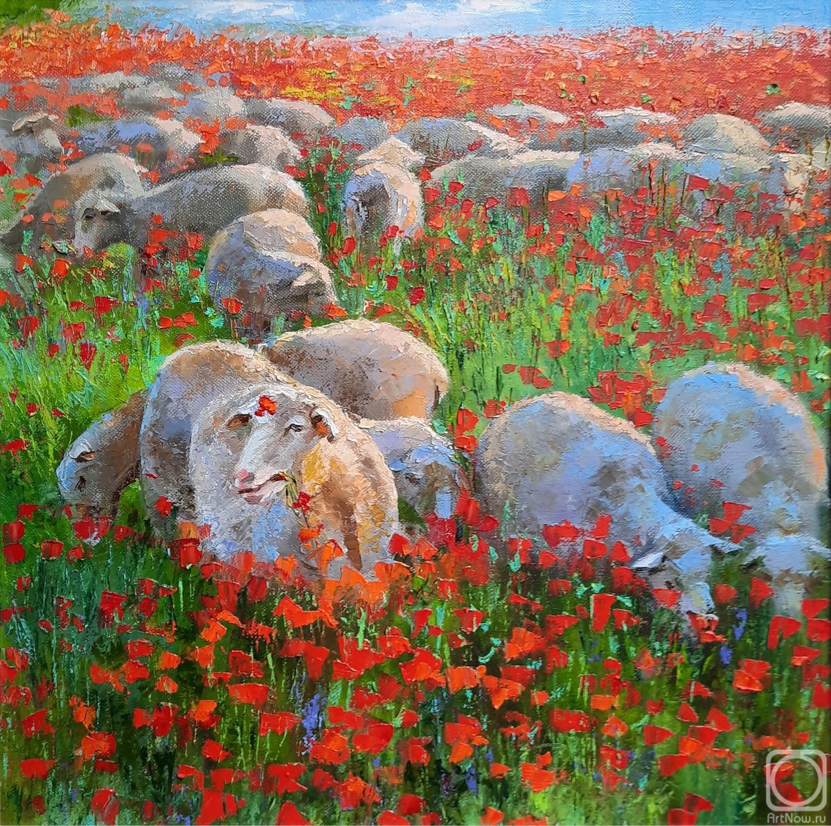 Popova Irina. Sheeps