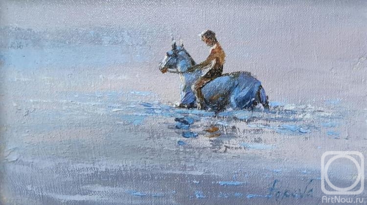 Popova Irina. Horse bathing