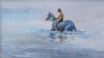 Horse bathing. Popova Irina