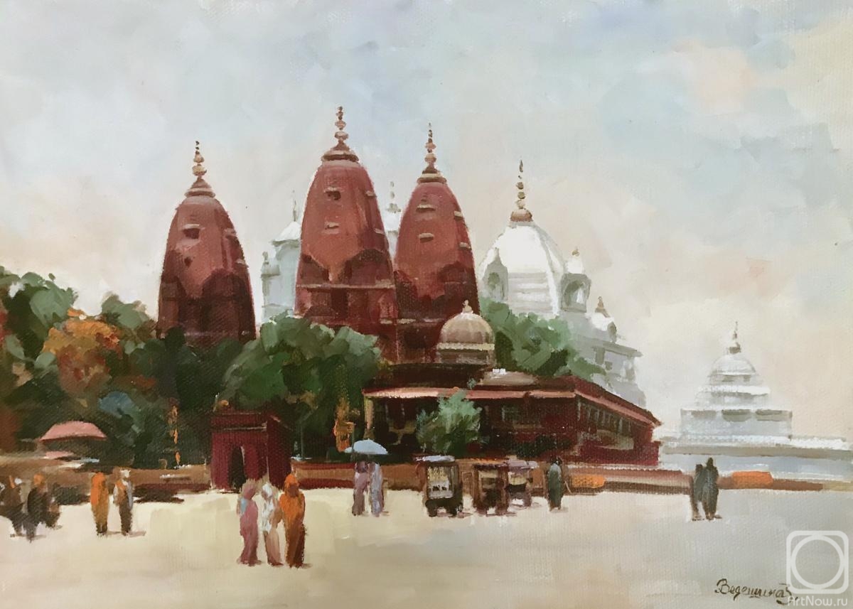 Vedeshina Zinaida. India. Delhi. Jain Temple Digambar