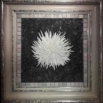White chrysanthemum. Maslennikov Sergey