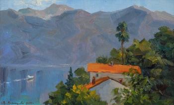 Villa in Montenegro