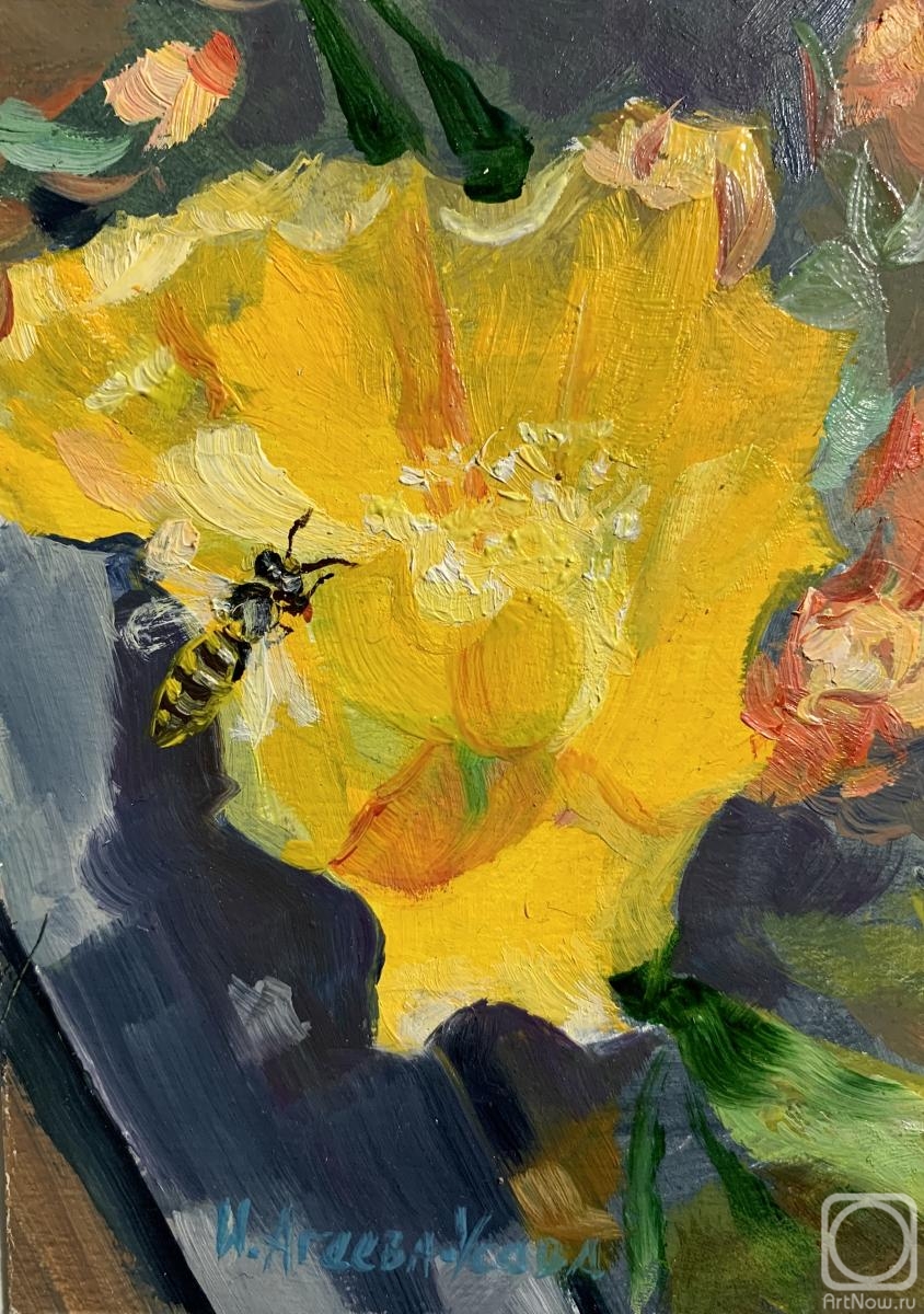 �������. ������-����� �����. ����� �������