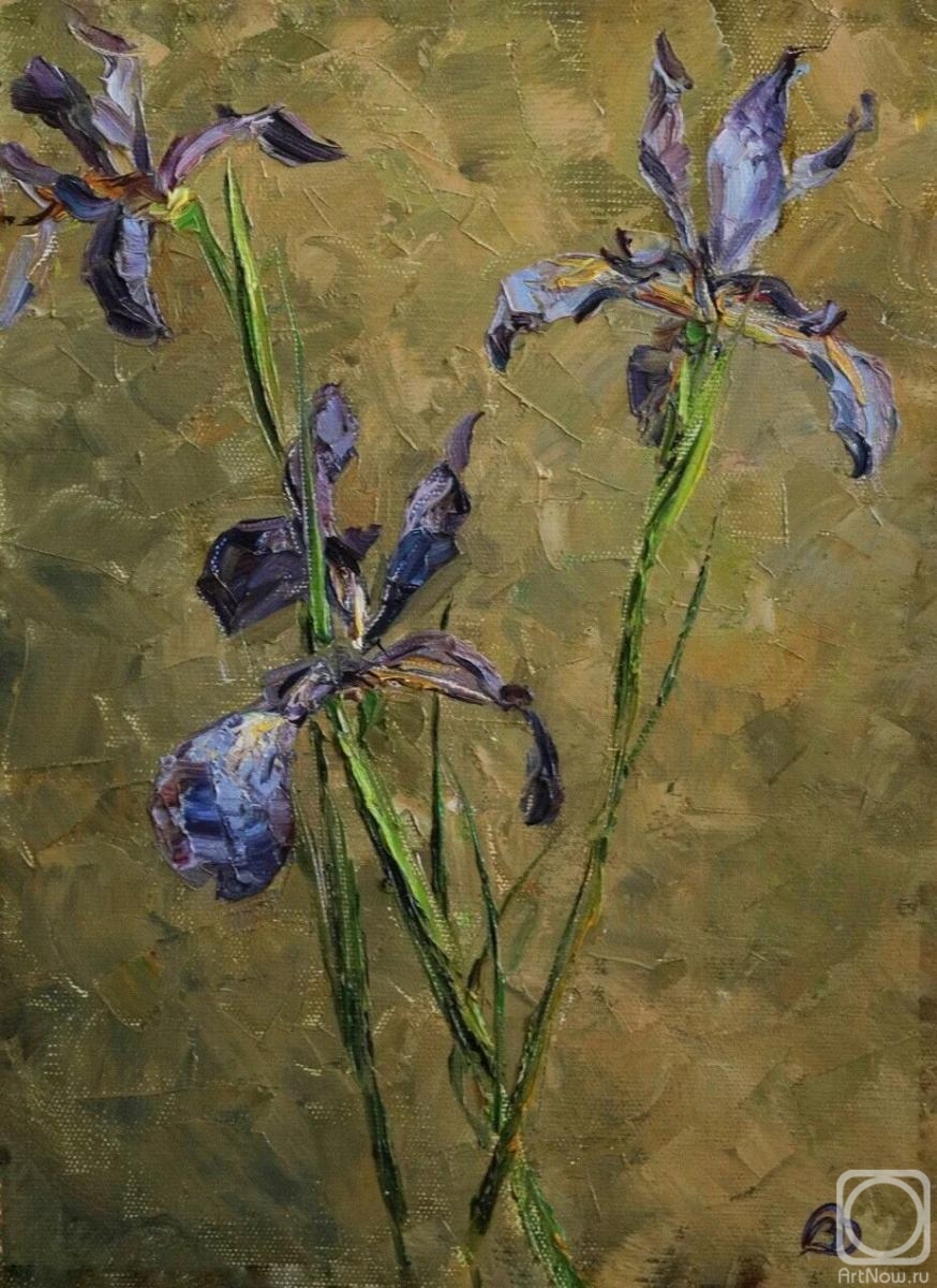 Vorontsova Viktoria. Wild irises