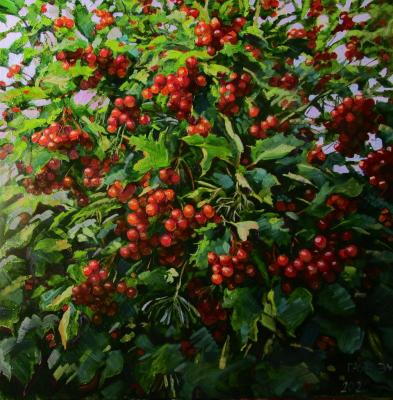 Painting Viburnum bush with ripe berries. Dobrovolskaya Gayane
