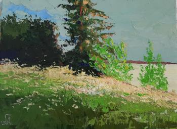 ������� �����������