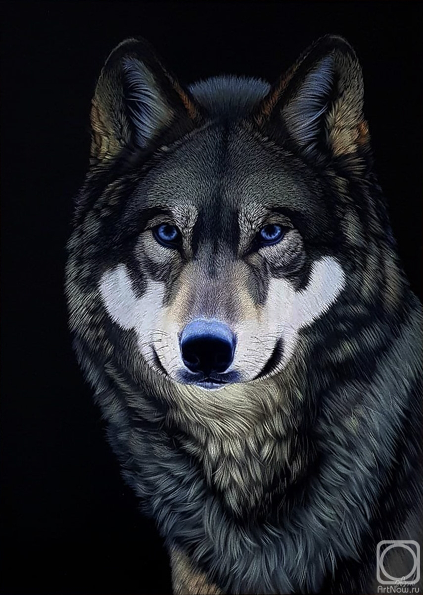 Ebzeev Shaharbi. Blue-eyed wolf