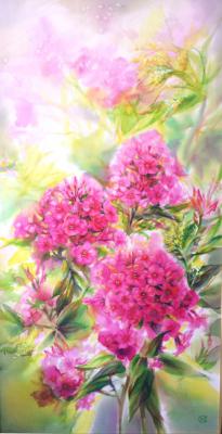 Phlox, sunny summer (second part of the diptych)