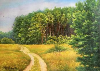 Road along the edge of the forest. Romm Alexandr