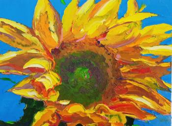 ������� ���� ������ �������