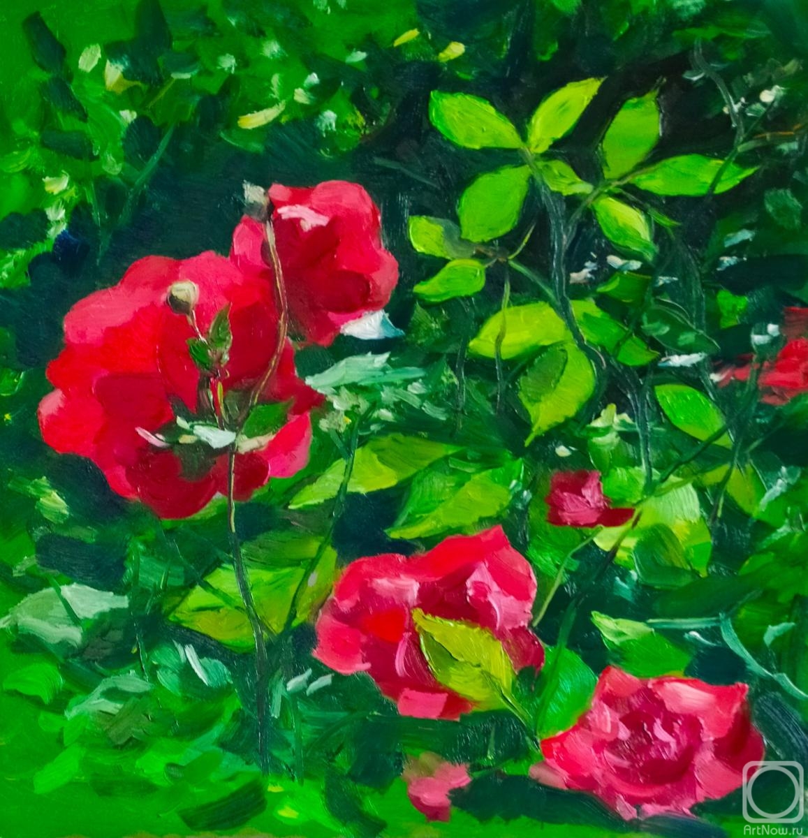 Ripa Elena. Red roses