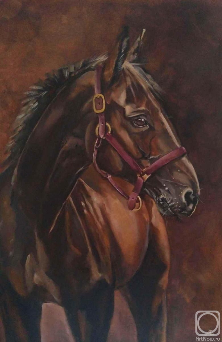 Glushenkova Anna. Bay. Horse