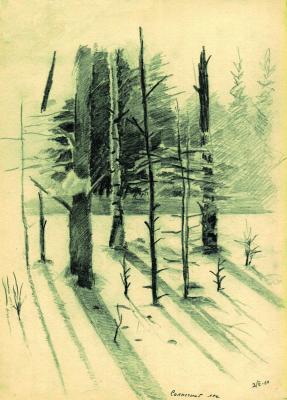 Sunny forest. Volosov Vladmir