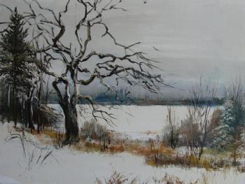 Shore Mustache (Pine Tree Painting Winter). Lednev Alexsander