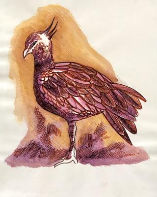 Copy 467. Exotic bird