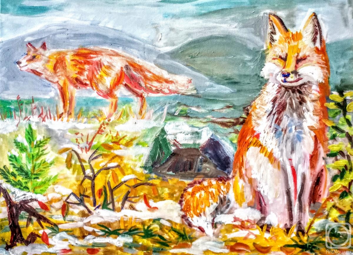 Medvedeva Maria. Foxes