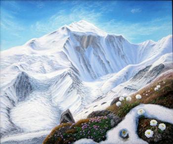 � ��������� �����. ����������� ���������� ���. ���������� ��������