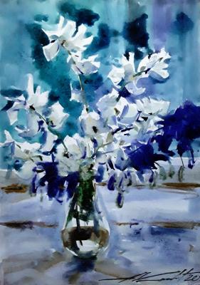 ������� �����������