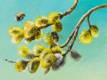 �������� ����. �������� ��������