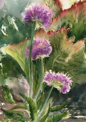 ������� ��� �����